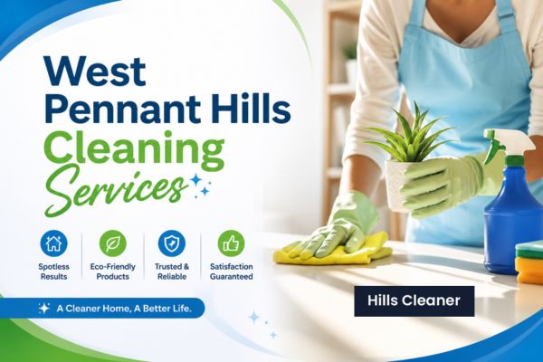 professional cleaning services
